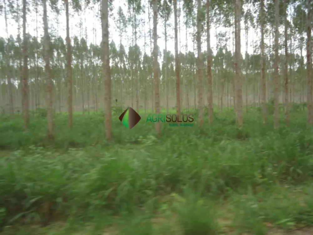 Terreno, 8800 m² - Foto 7
