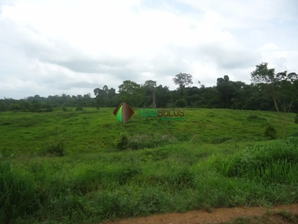 Terreno, 8800 m² - Foto 5