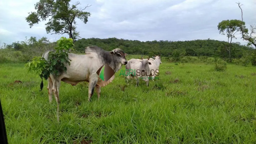 Terreno, 1 hectares - Foto 6