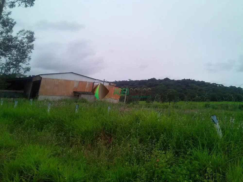 Terreno, 1 hectares - Foto 12