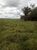Terreno, 5000 m² - Foto 1