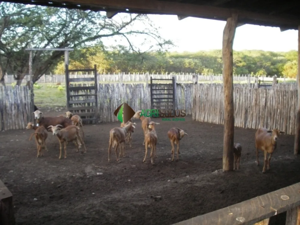 Terreno, 155 m² - Foto 5