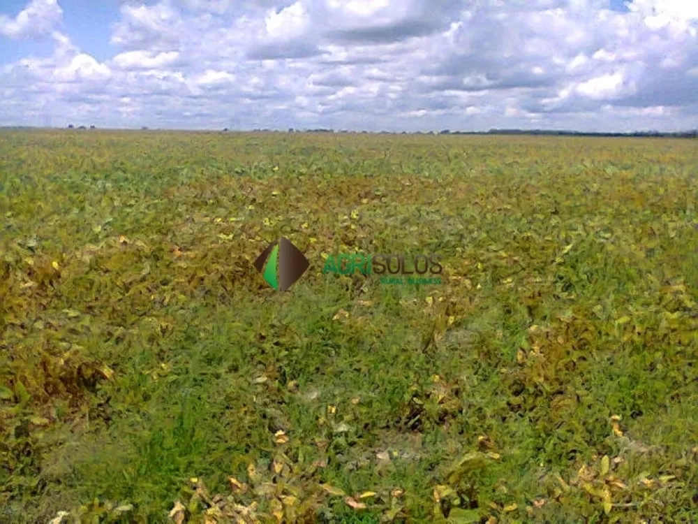 Terreno, 3600 m² - Foto 5