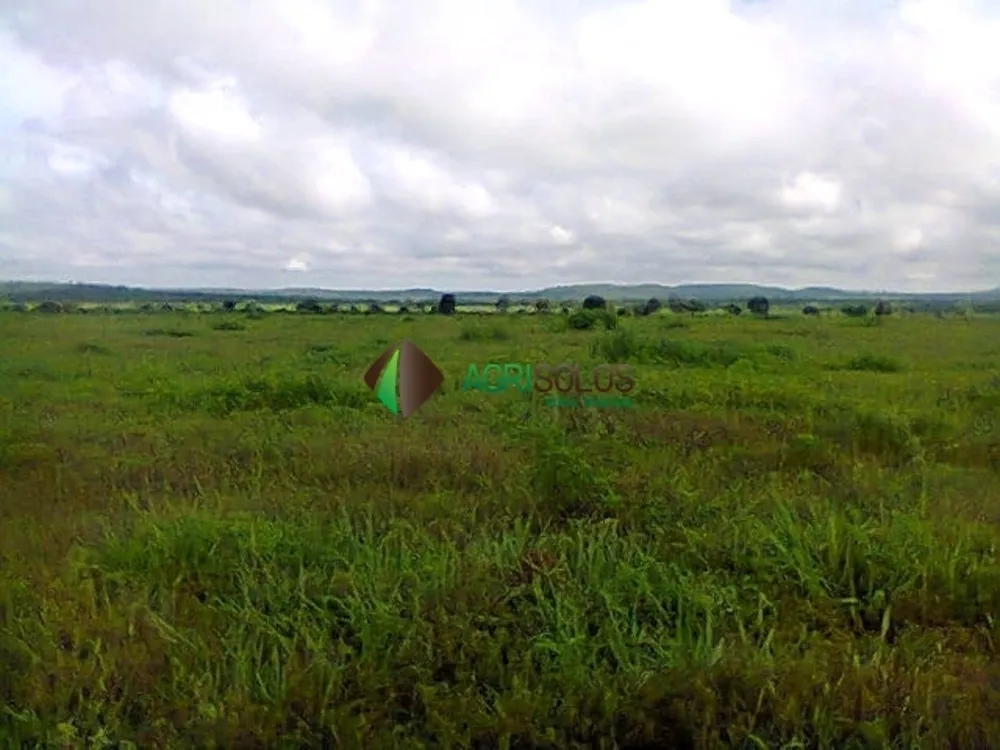 Terreno, 3600 m² - Foto 6