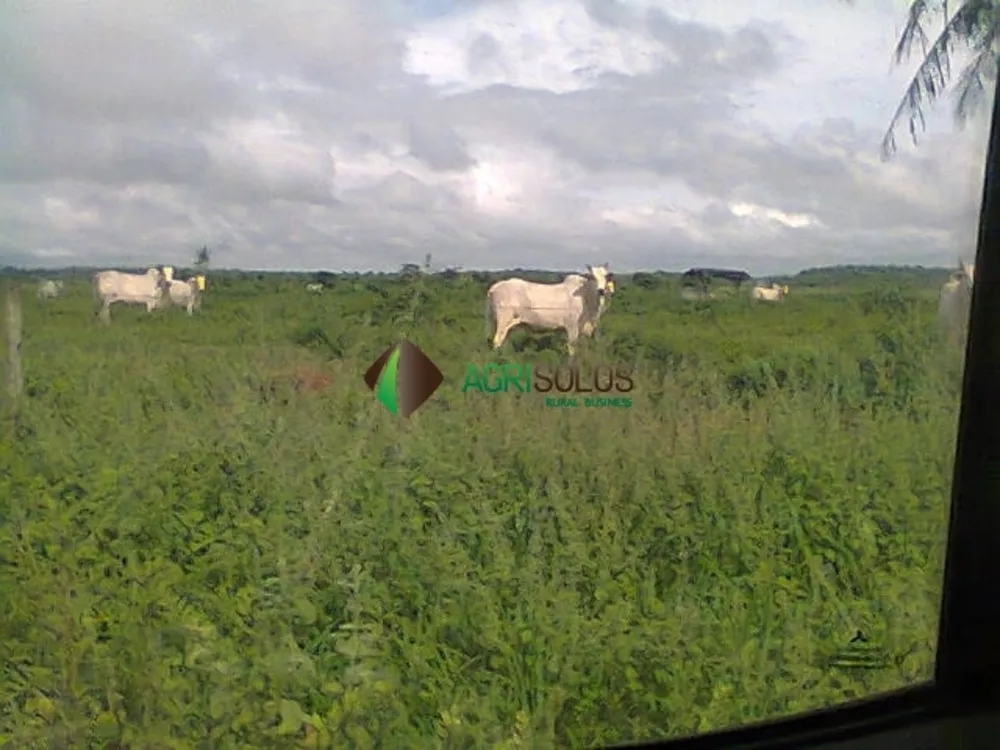 Terreno, 3600 m² - Foto 8