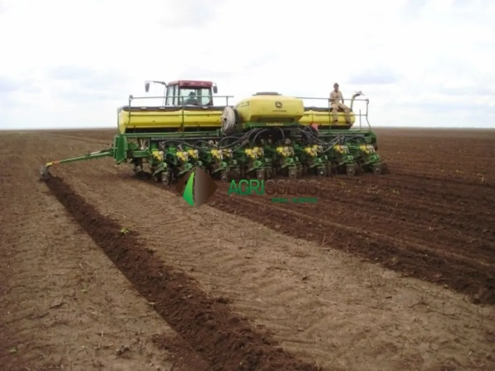 Terreno, 1 hectares - Foto 3