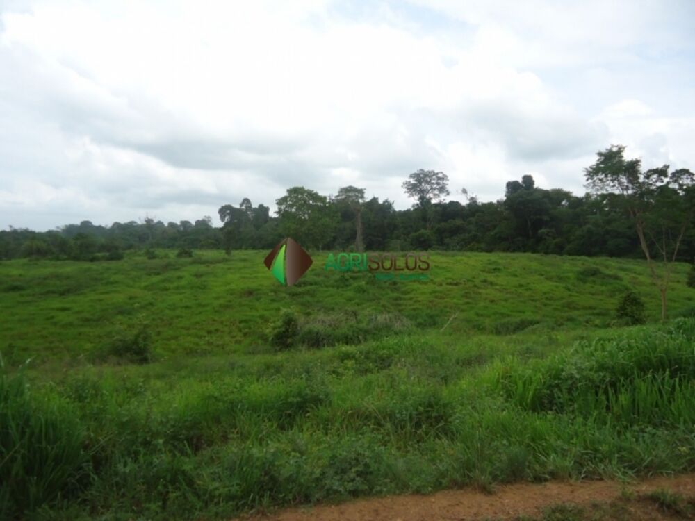 Terreno à venda, 8800m² - Foto 3