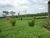 Terreno, 8800 m² - Foto 2