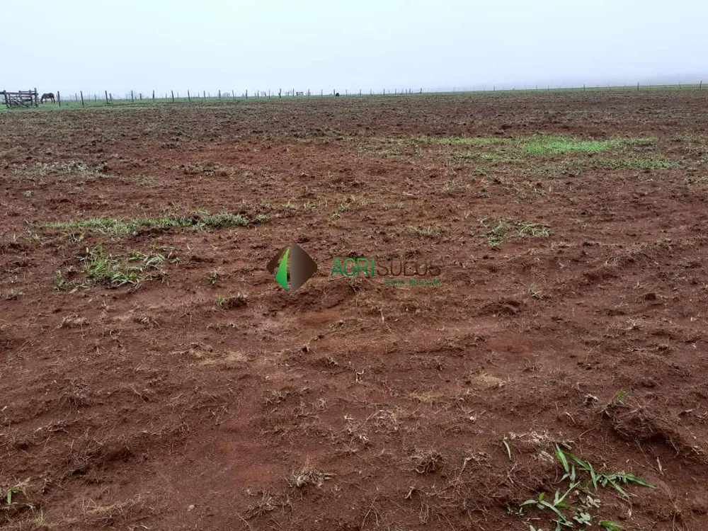 Terreno, 3 hectares - Foto 4