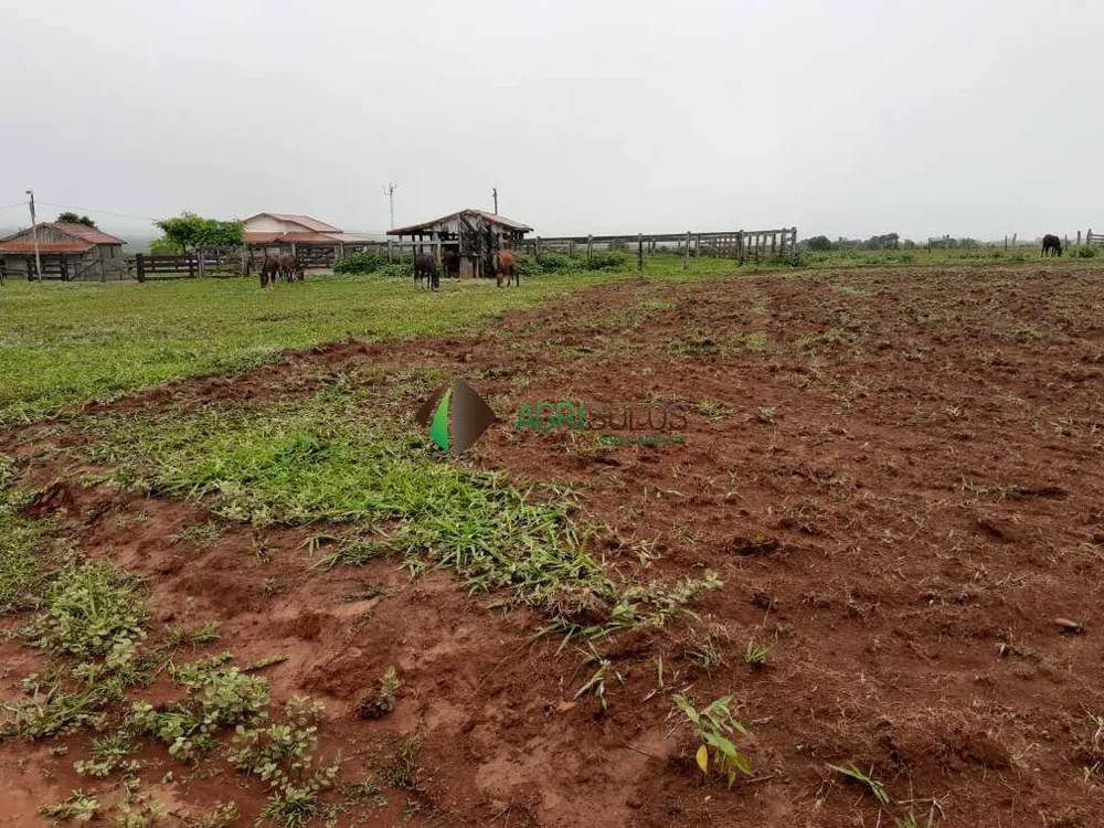 Terreno, 3 hectares - Foto 11