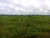 Terreno, 3600 m² - Foto 2