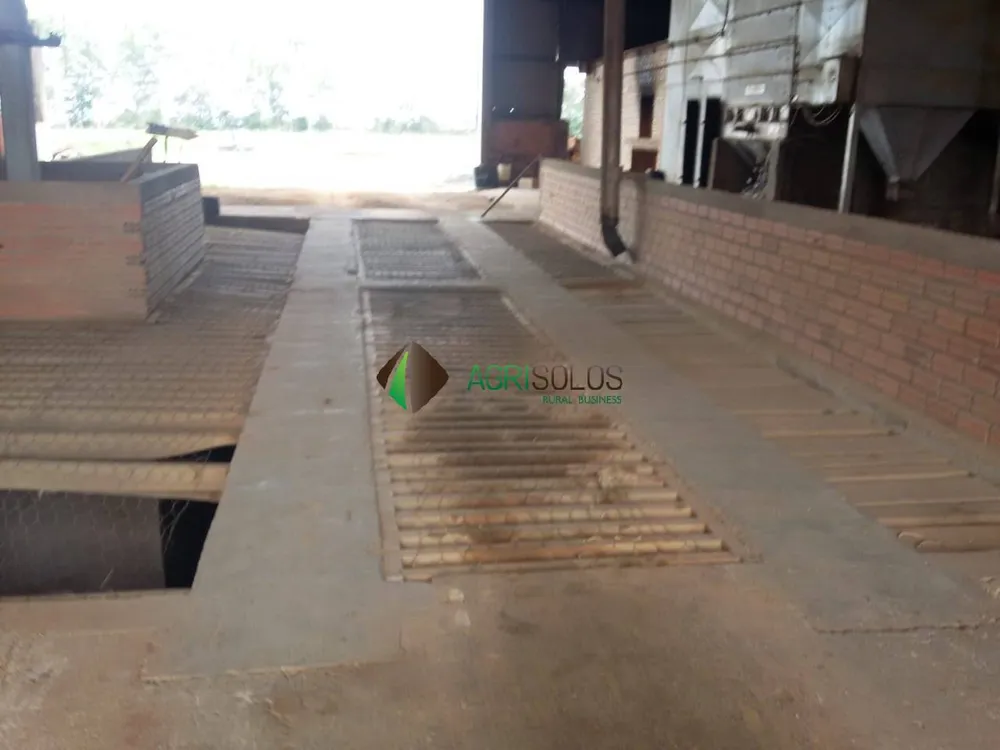Terreno, 10000 m² - Foto 10