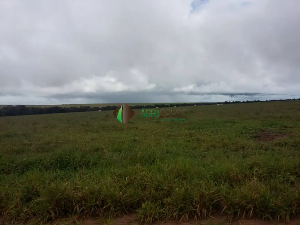 Terreno, 10000 m² - Foto 4