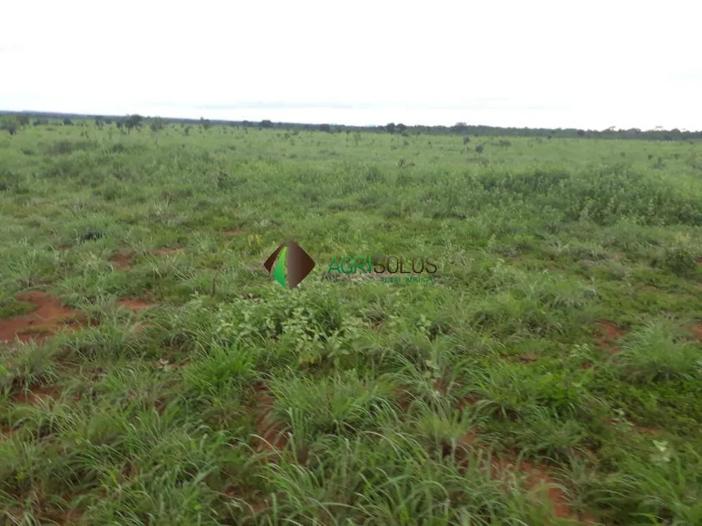 Terreno, 5000 m² - Foto 5
