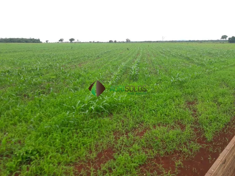Terreno, 5000 m² - Foto 2