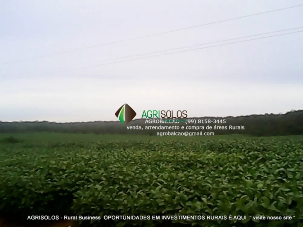 Terreno, 1200 m² - Foto 2