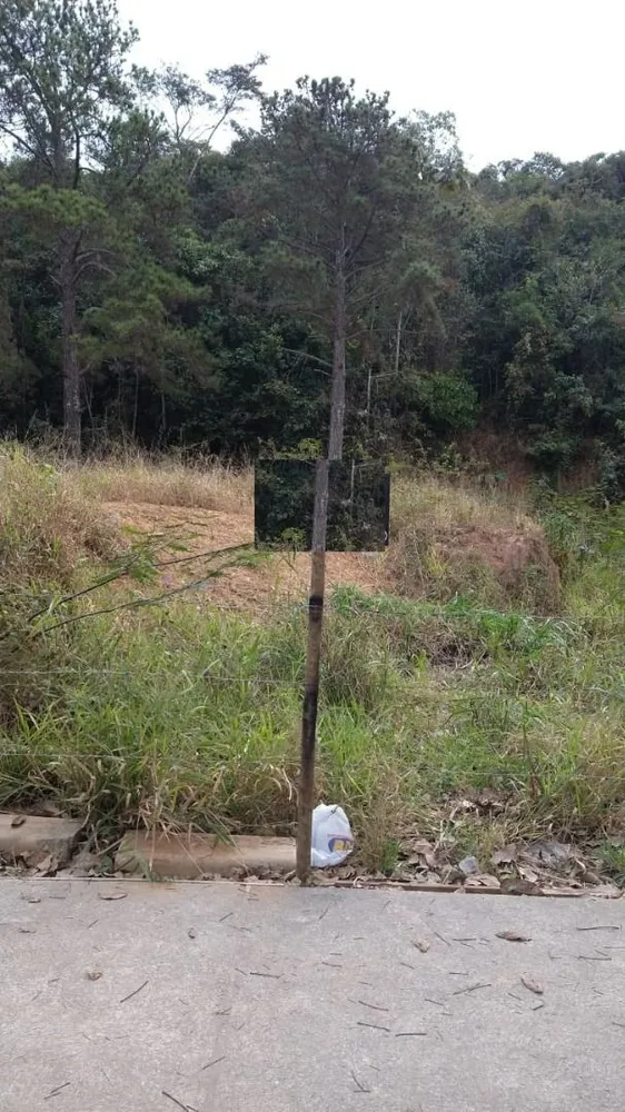 Terreno, 500 m² - Foto 2