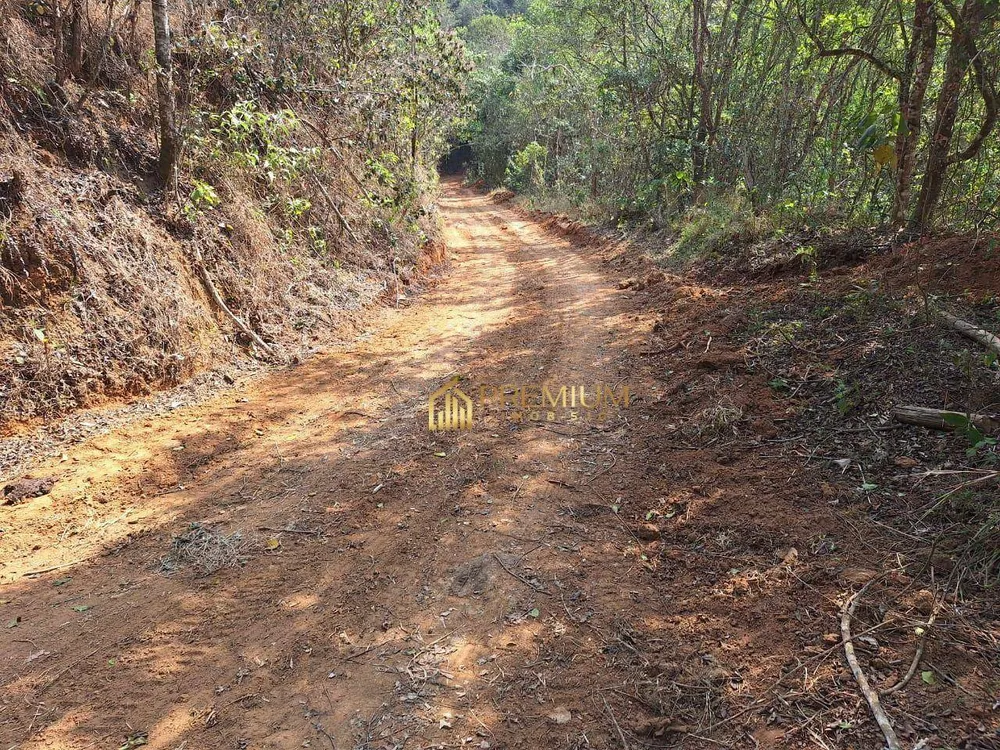 Sítio, 20 hectares - Foto 12