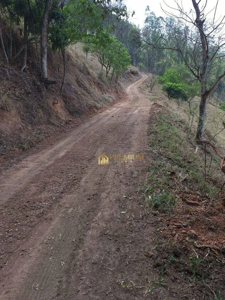 Sítio, 20 hectares - Foto 10