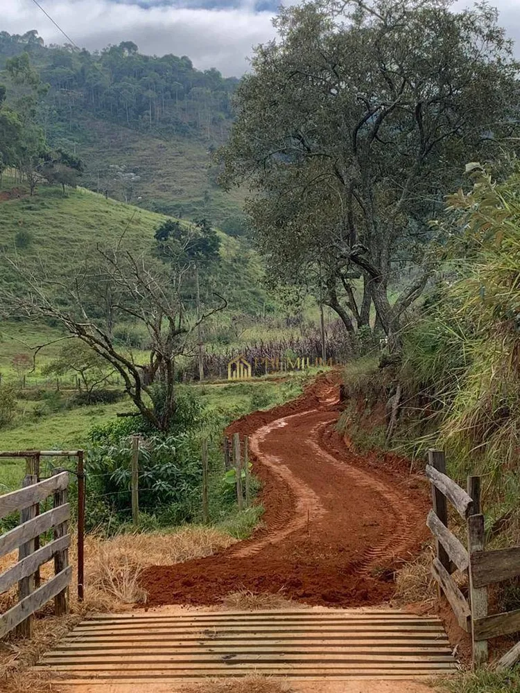 Terreno, 8 hectares - Foto 6