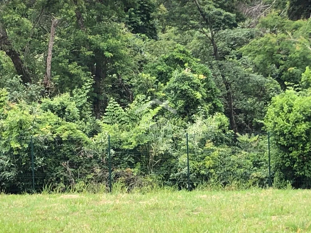 Terreno - Foto 3