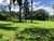Chácara, 1 quarto, 5000 m² - Foto 15