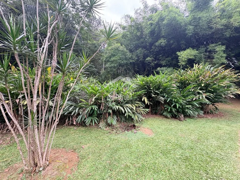 Sítio, 5 quartos, 400 m² - Foto 3