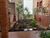 Casa, 3 quartos, 672 m² - Foto 19