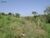 Sítio, 1 quarto, 3 hectares - Foto 2