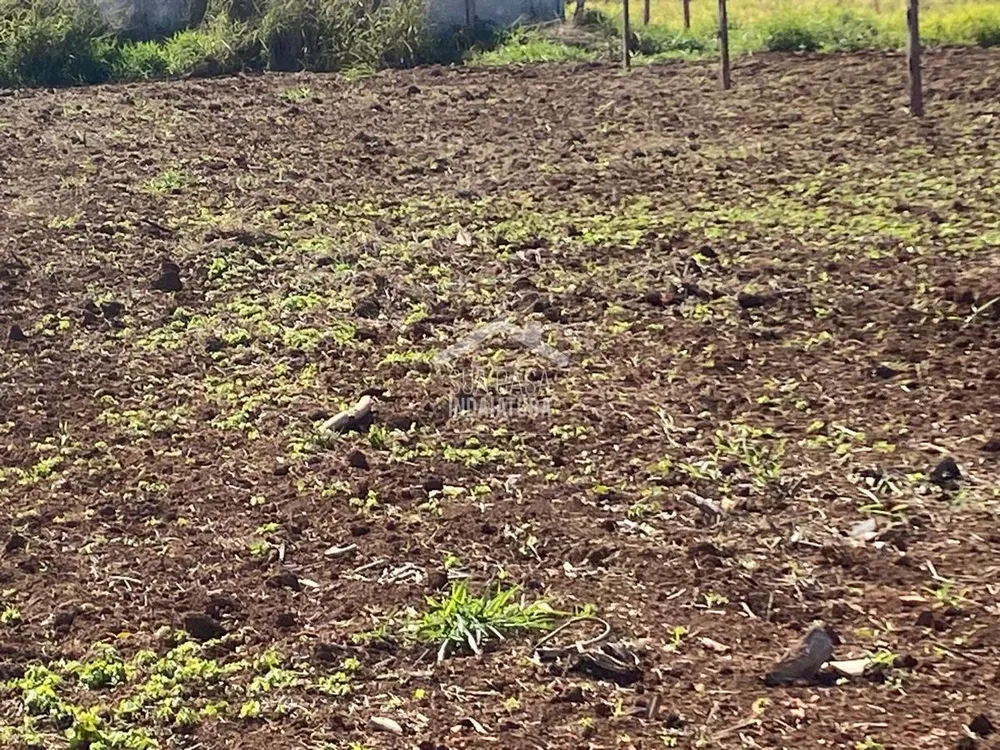 Terreno - Foto 3