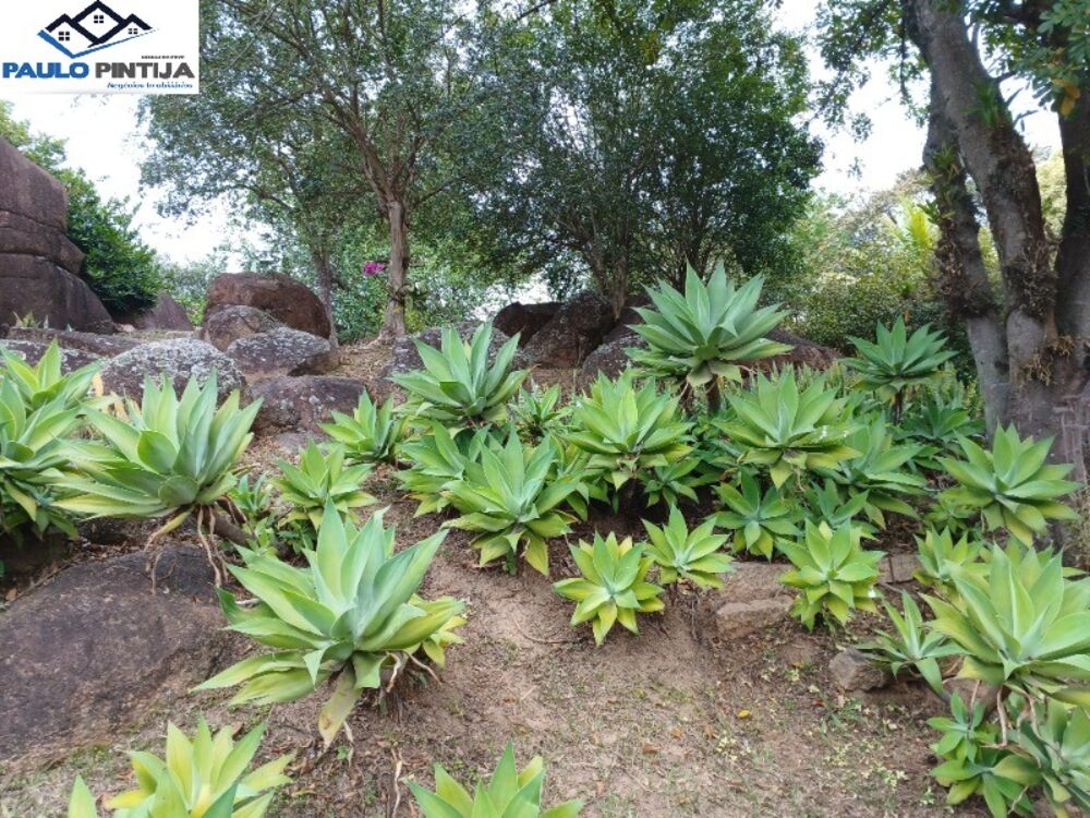 Chácara à venda com 3 quartos, 206m² - Foto 5