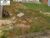 Terreno, 500 m² - Foto 3