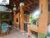 Chácara, 4 quartos, 400 m² - Foto 3