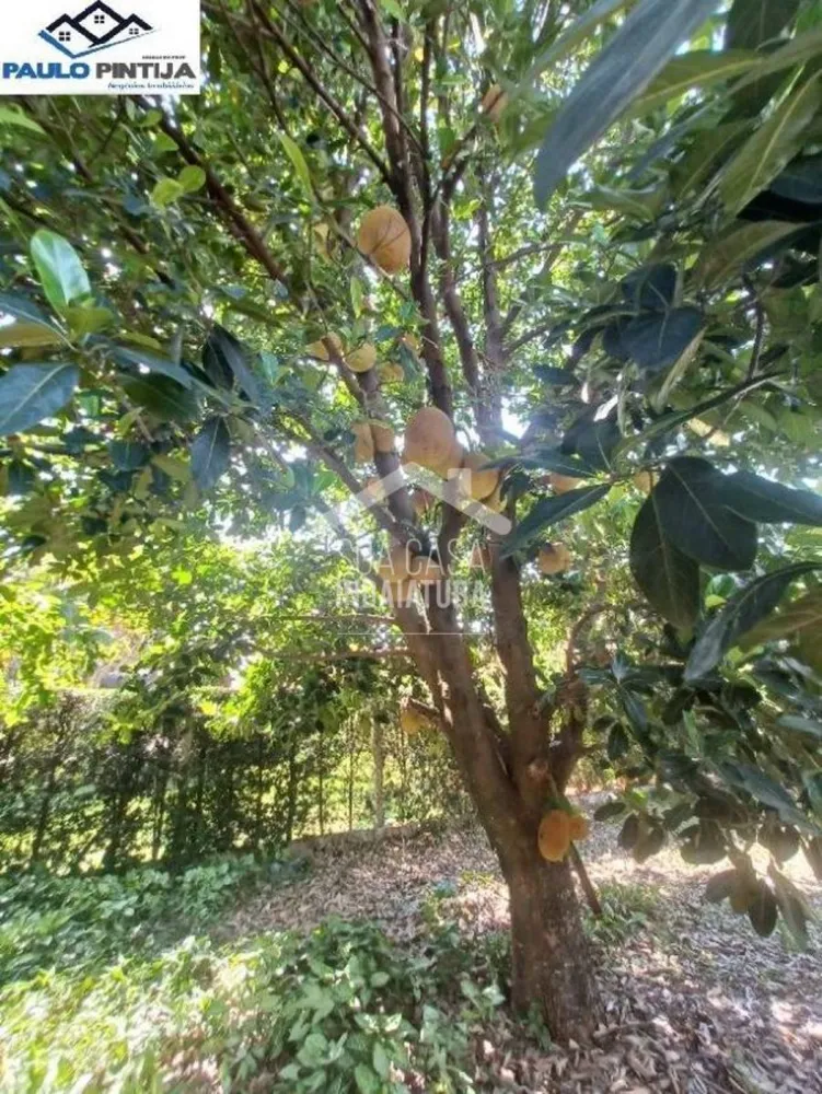 Terreno - Foto 4