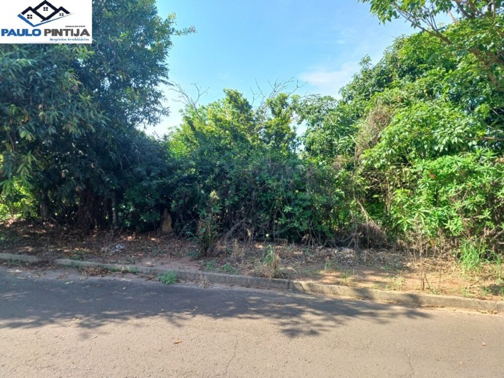Terreno à venda, 6000m² - Foto 3