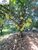 Terreno, 6000 m² - Foto 1