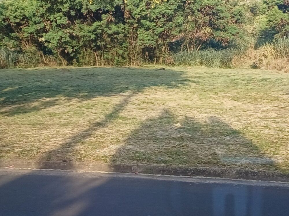 Terreno à venda, 8000m² - Foto 1