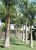 Terreno, 4 hectares - Foto 2