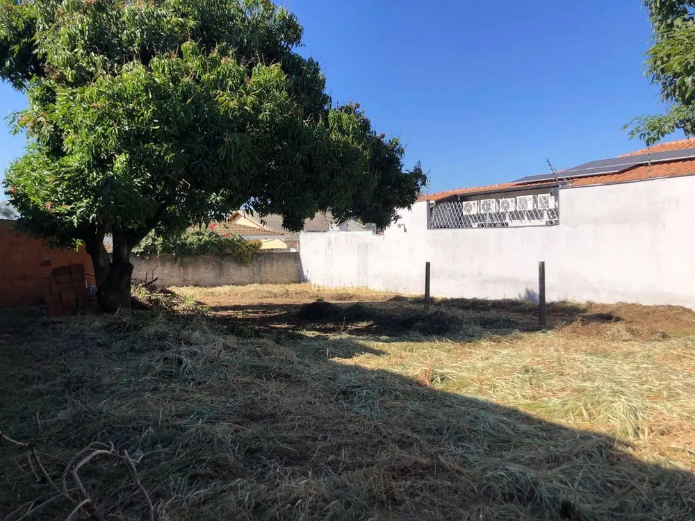 Terreno - Foto 4