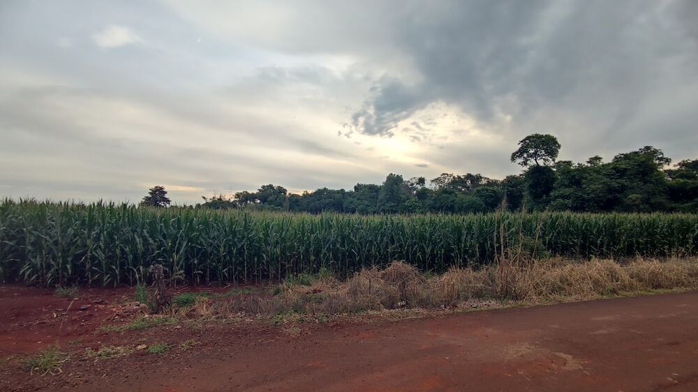 Chácara, 2 hectares - Foto 3