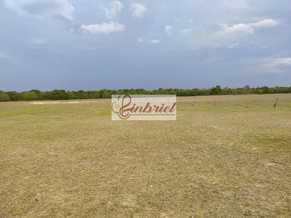 Fazenda, 467 hectares - Foto 6