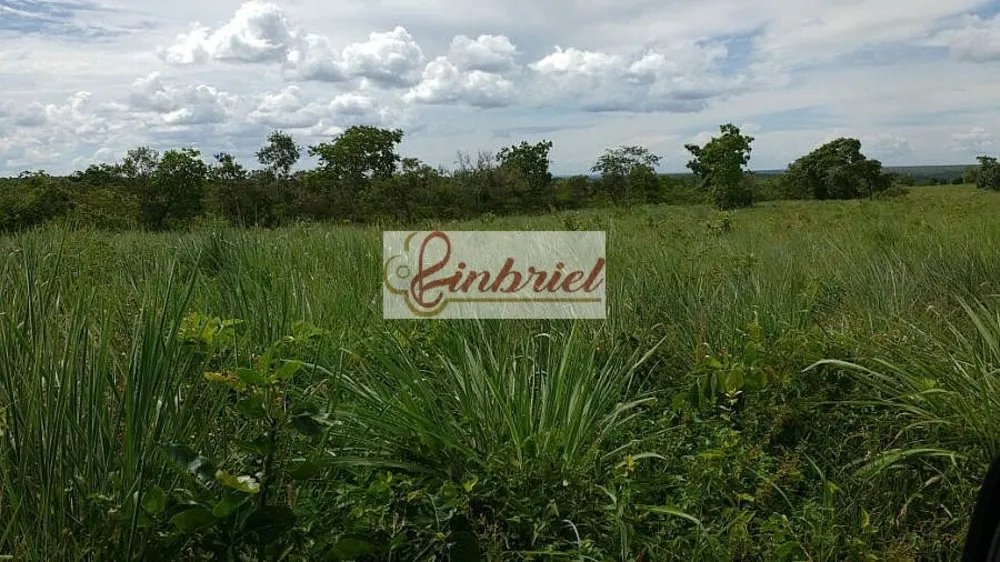 Fazenda, 467 hectares - Foto 2