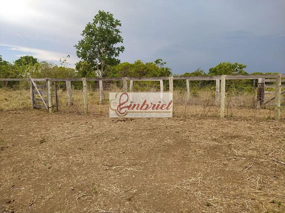 Fazenda, 467 hectares - Foto 7