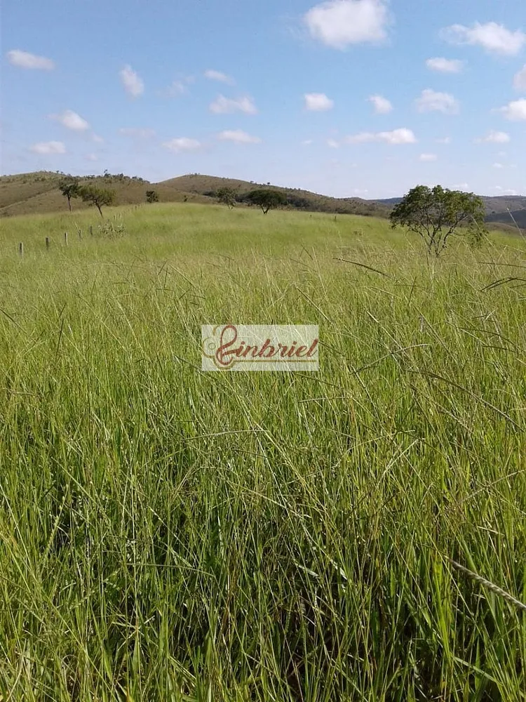 Fazenda, 467 hectares - Foto 5