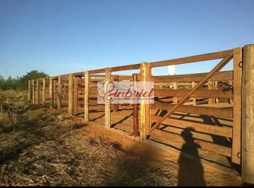 Fazenda, 467 hectares - Foto 12