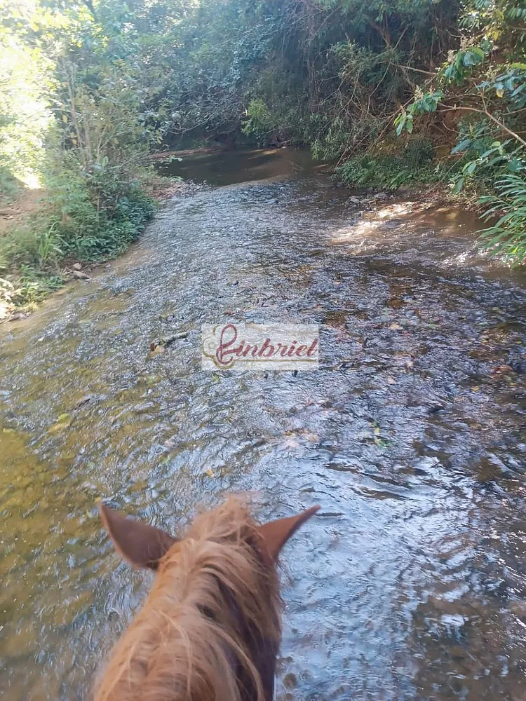 Fazenda, 467 hectares - Foto 10