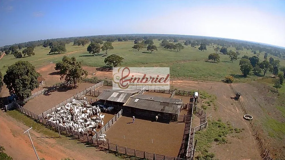 Fazenda, 4180 hectares - Foto 3