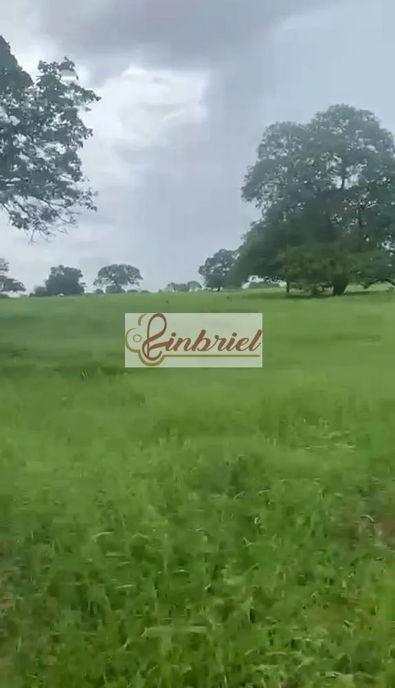 Fazenda, 4180 hectares - Foto 2