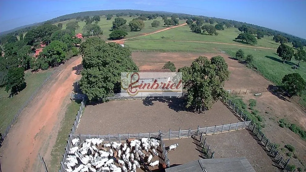 Fazenda, 4180 hectares - Foto 4