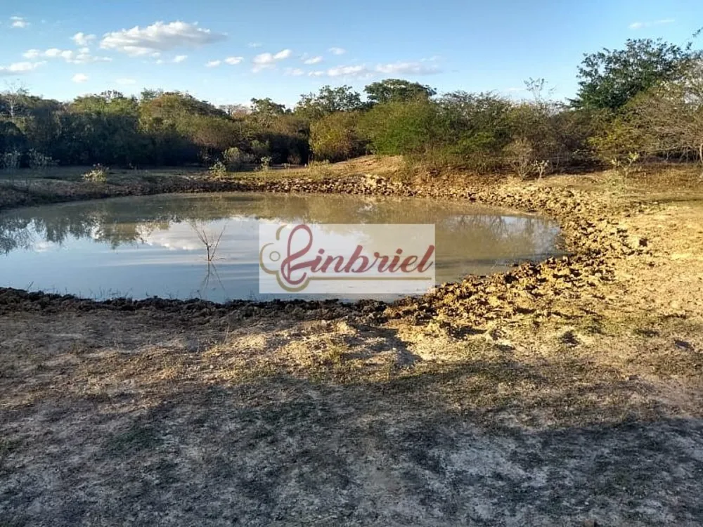 Fazenda, 1800 hectares - Foto 2